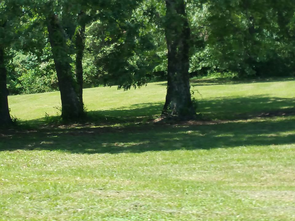 1st image of O Jernigan Dr