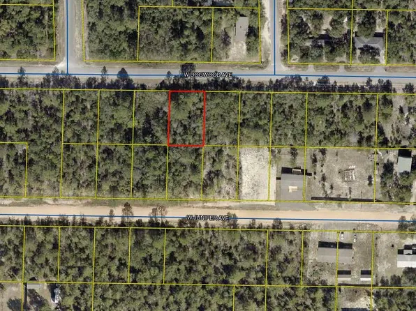 9 W Dogwood Ave, Defuniak Springs, FL 32433