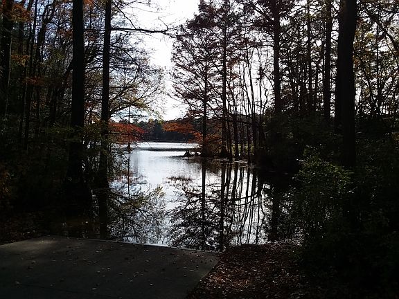 Trap Pond Boat Ramp.