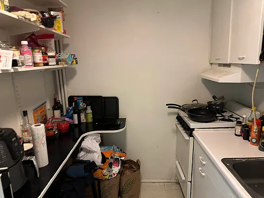 Rented by Eric Goodman Realty Corp | media 3