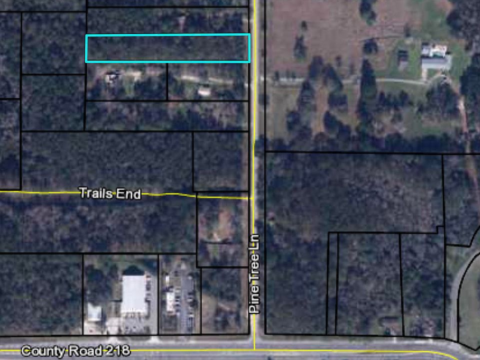 2nd image of 2170 Pine Tree Ln