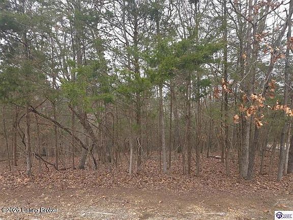 2nd image of 137 Primrose Ln