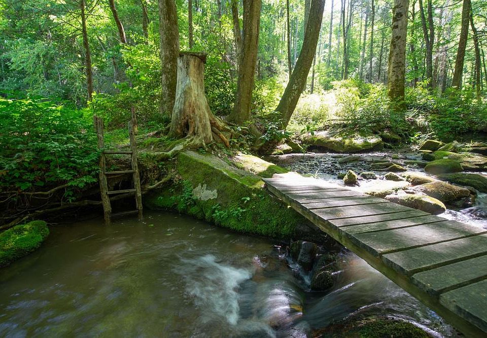 Swimming hole and foot bridge near the main cabin