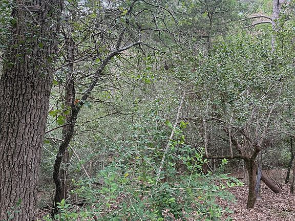 4th image of LOT 294 Aka Ct