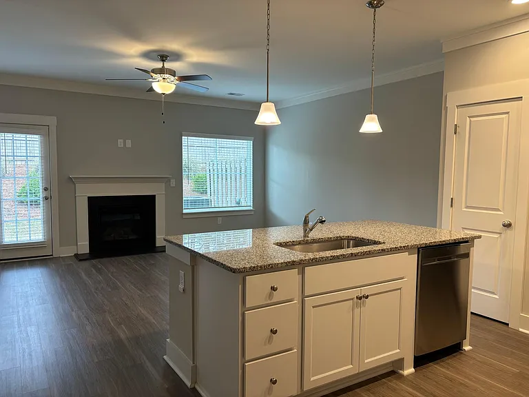 218 Button Willow St — Photo 6