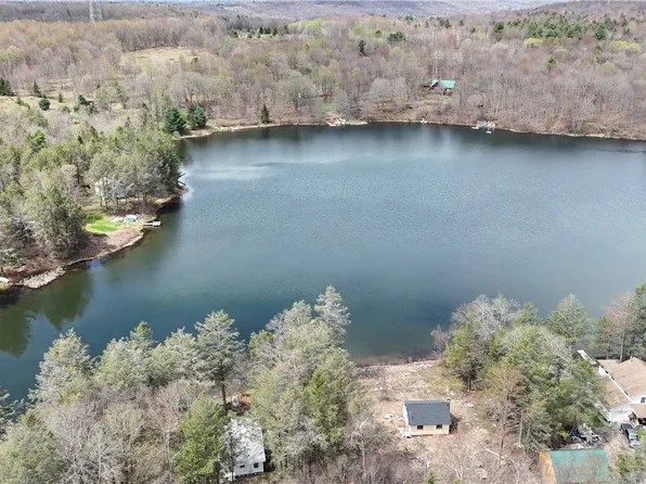 675 Delaware Lake Rd, Long Eddy, NY 12760