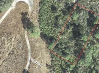 1036 Cleveland Ave, Lake Placid, FL 33852