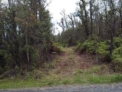 Omeka Rd Lot 18, Volcano, HI, 96785