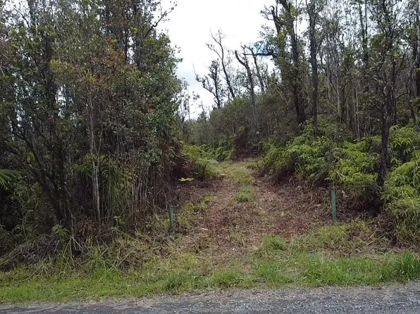 Omeka Rd Lot 18, Volcano, HI 96785