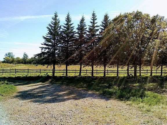 2 acre Pasture w/Grape Vines