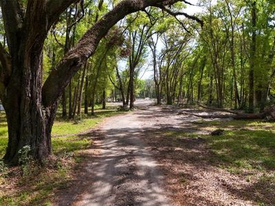 3780 SE 145th St, Summerfield, FL, 34491