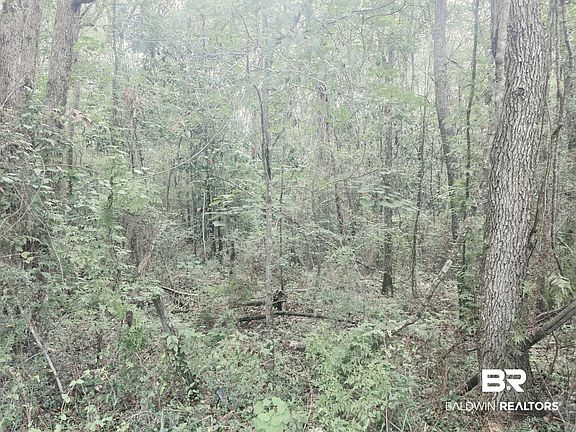 4th image of 2 Two Mile Rd