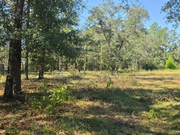 3091 Kings Lake Rd, Defuniak Springs, FL 32433