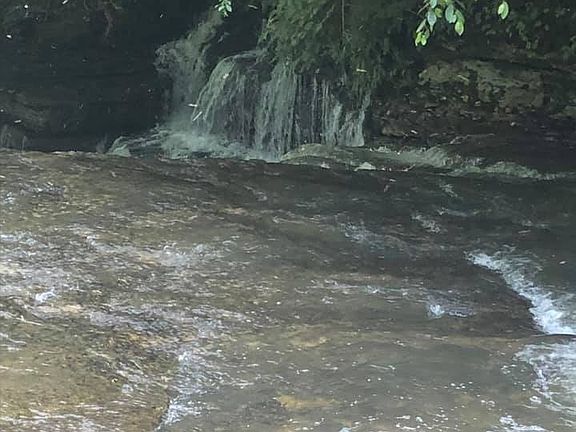 2nd image of 175 Luna Mill Rd