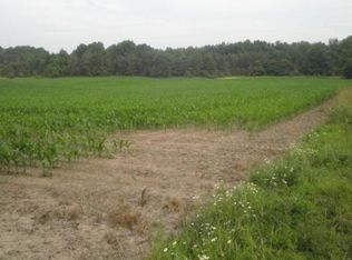 4175 E Madison Rd, Walkerville, MI 49459