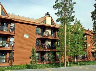 89100 Ryan Gulch Rd #307A, Silverthorne, CO 80498