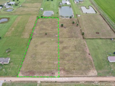 NULLA Mulberry Ln, Iota, LA, 70543