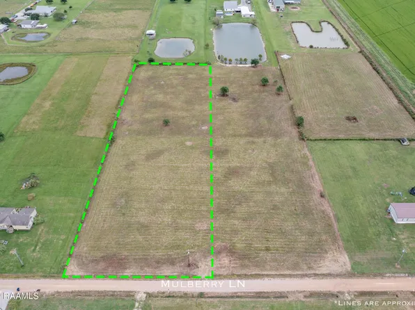 NULLA Mulberry Ln, Iota, LA 70543