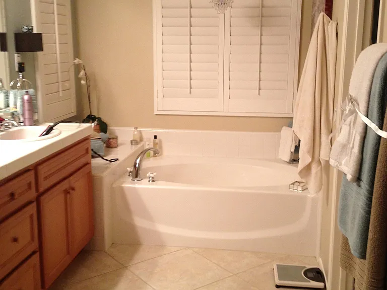 Master bathroom with shower and separate soaking bathtub