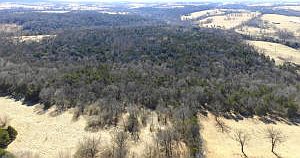 2nd image of 438 County Rd