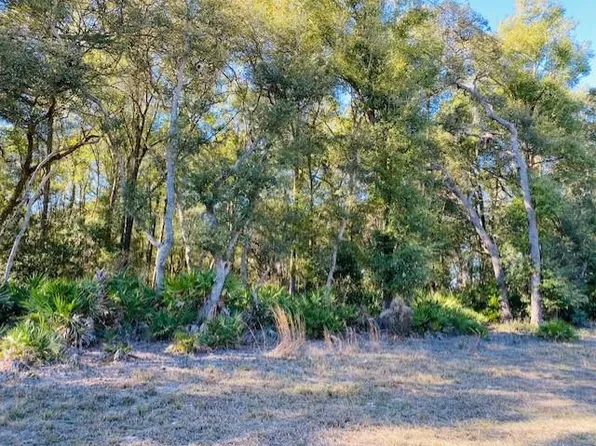  NW 110th Ave, Chiefland, FL 32626