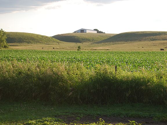 view to the west