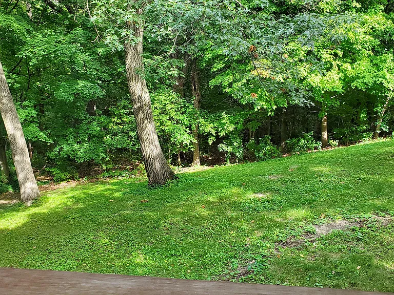 430 Zinnia Ln N — Photo 11