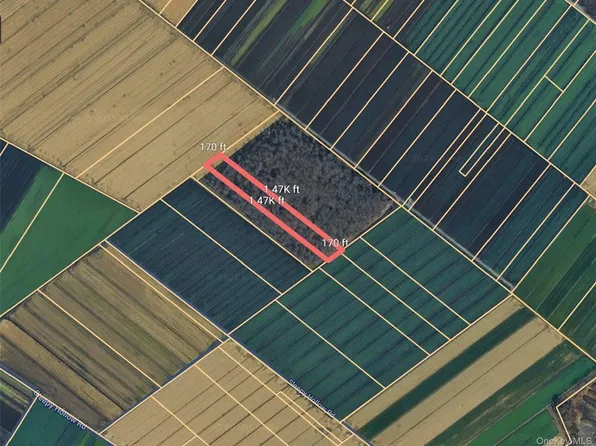 Gale Street, Florida, NY 10924