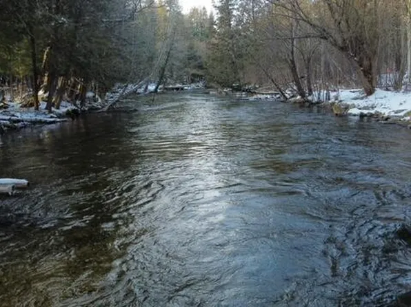 Honor Hwy, Beulah, MI 49617