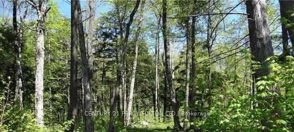 2nd image of 118 Nippissing Ridge Rd