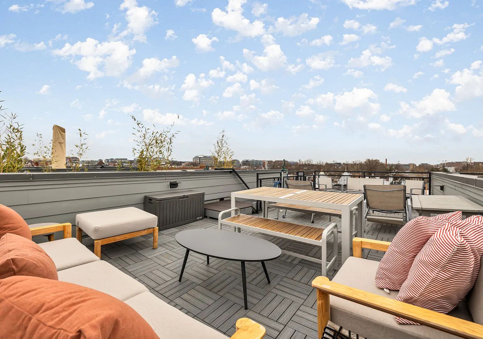 Beautiful Bloomingdale Townhouse | Outdoor Rooftop — Photo 4