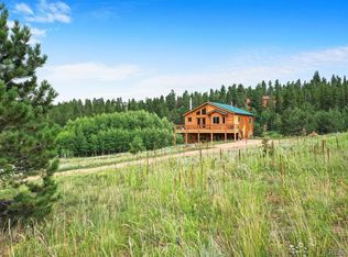 1328 Clark Rd, Bailey, CO 80421