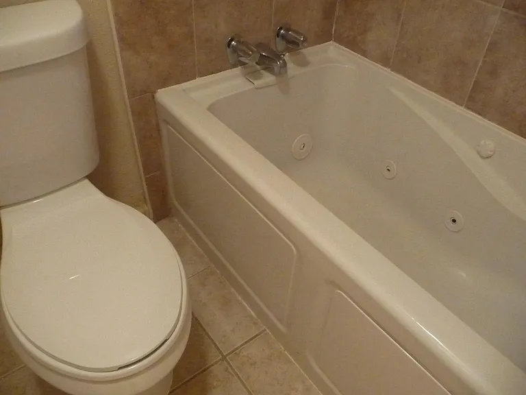 The master bathroom