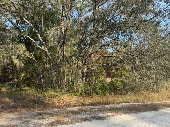 0 SW 136th Ter Lot 9, Dunnellon, FL 34432