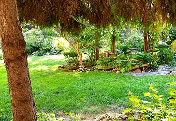 Rented by Level Group