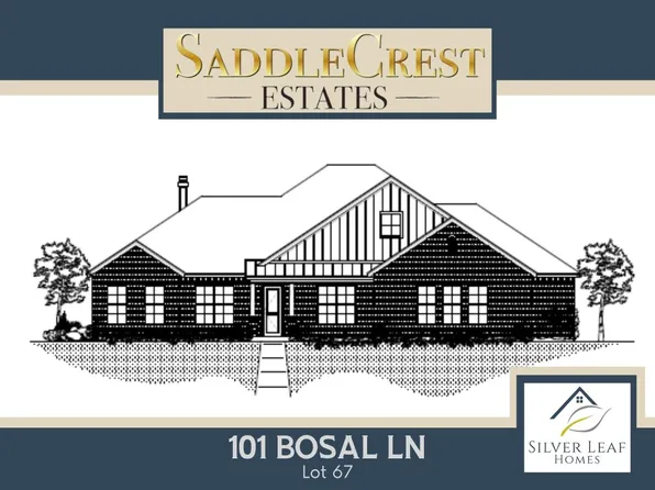 101 Bosal Ln, Weatherford, TX 76088
