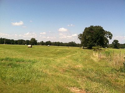 Pasture/hay field
