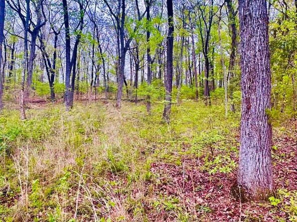 LOT 14 Murray Dr SE, Decatur, AL 35603