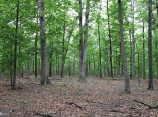 13.87 Ac River Rd, Romney, WV 26757