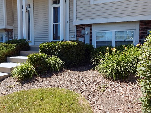 3rd image of 104 Terra Springs Dr