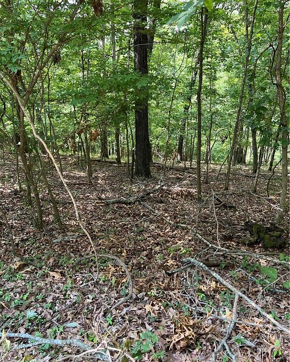 1st image of Hilltop Dr #5