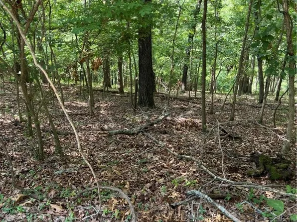 Hilltop Dr #5, Rogers, AR 72756