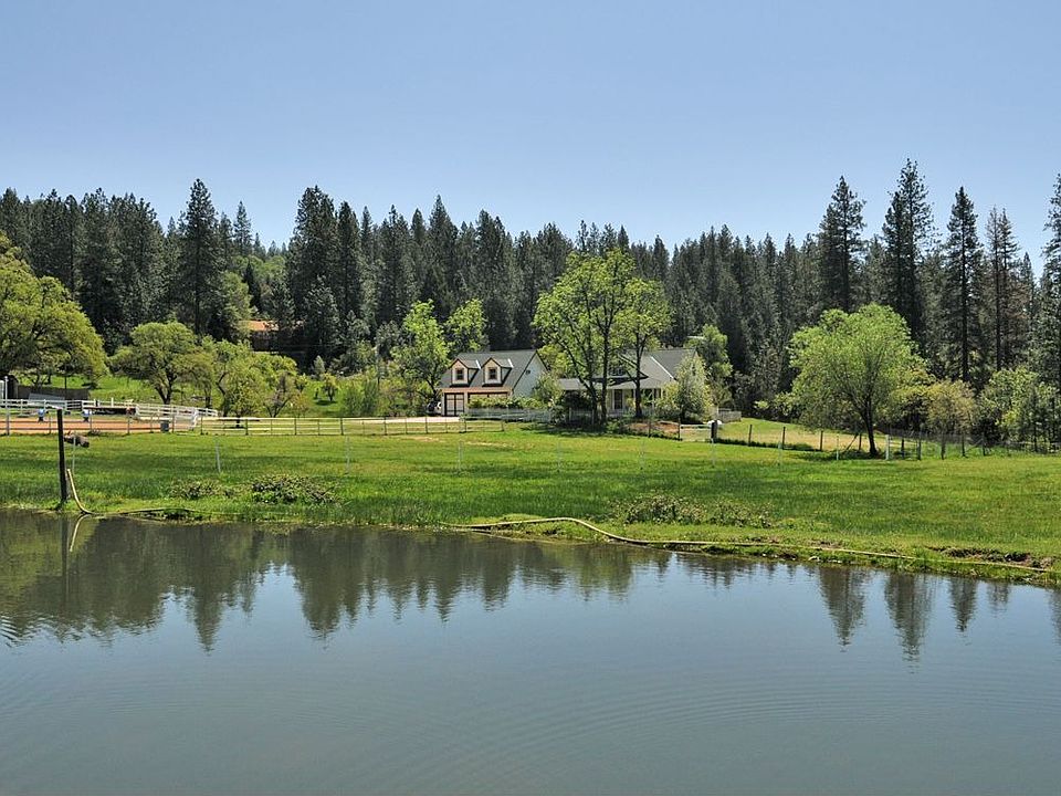 Looking towards home over the pond