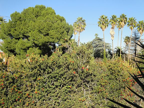 5th image of 12958 Valleyheart Dr APT 15