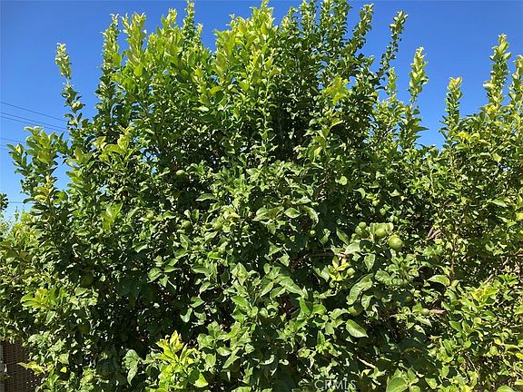 5th image of 39 Carancho Rd #3