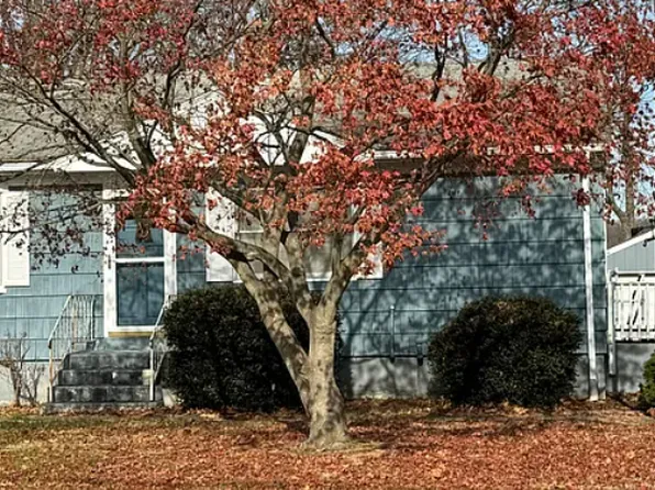 112 Bird Ln, Milford, CT 06460