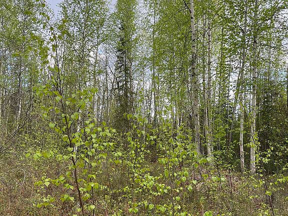 4th image of 4249 Chena Hot Springs Rd