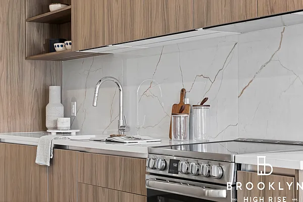 Rented by Brooklyn High Rise LLC | media 32