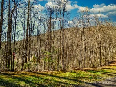 45 Ashewood Mountain Way, Candler, NC, 28715