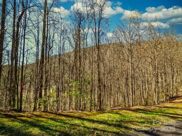 45 Ashewood Mountain Way, Candler, NC 28715